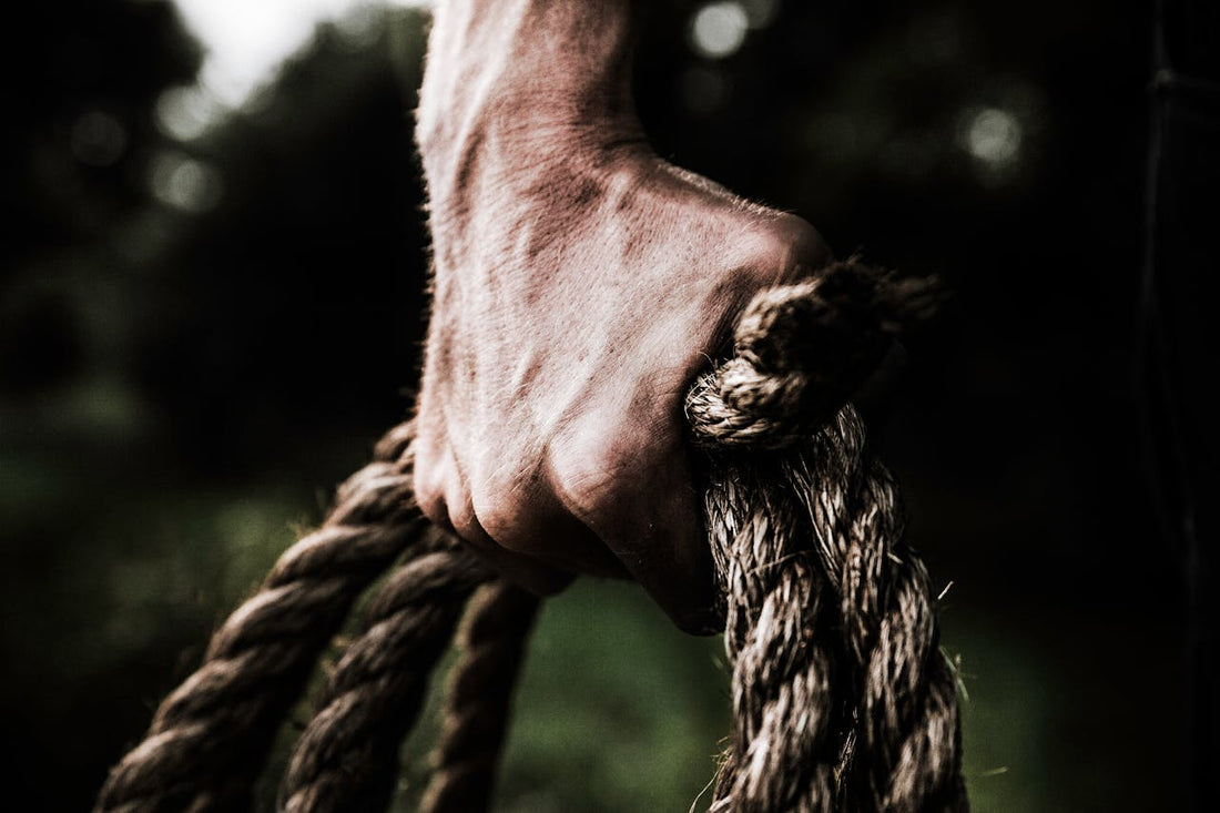The Truth About Weight Room Exercises: Most Are Useless. Here’s What Actually Works.