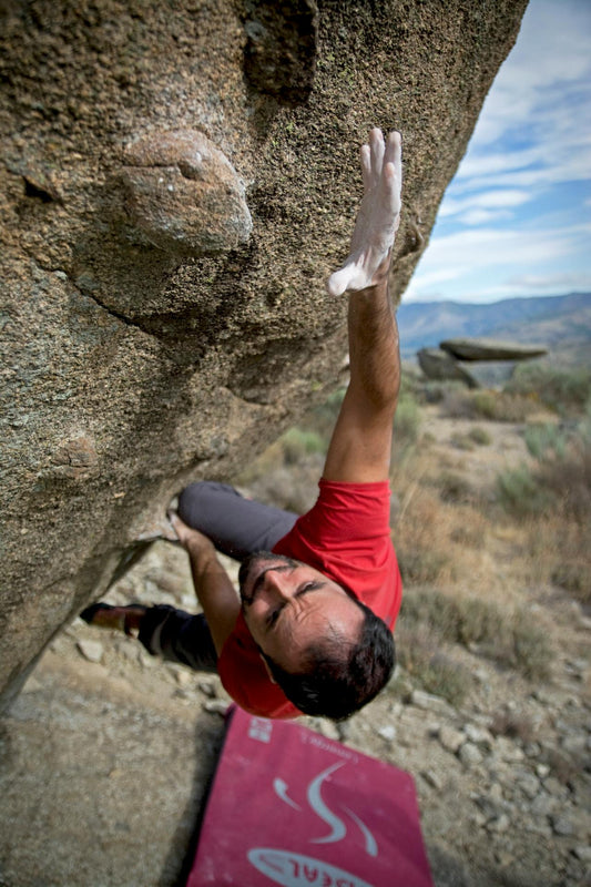 The Gut-Brain Axis in Athletes: Can Nutrition Improve Mental Toughness?