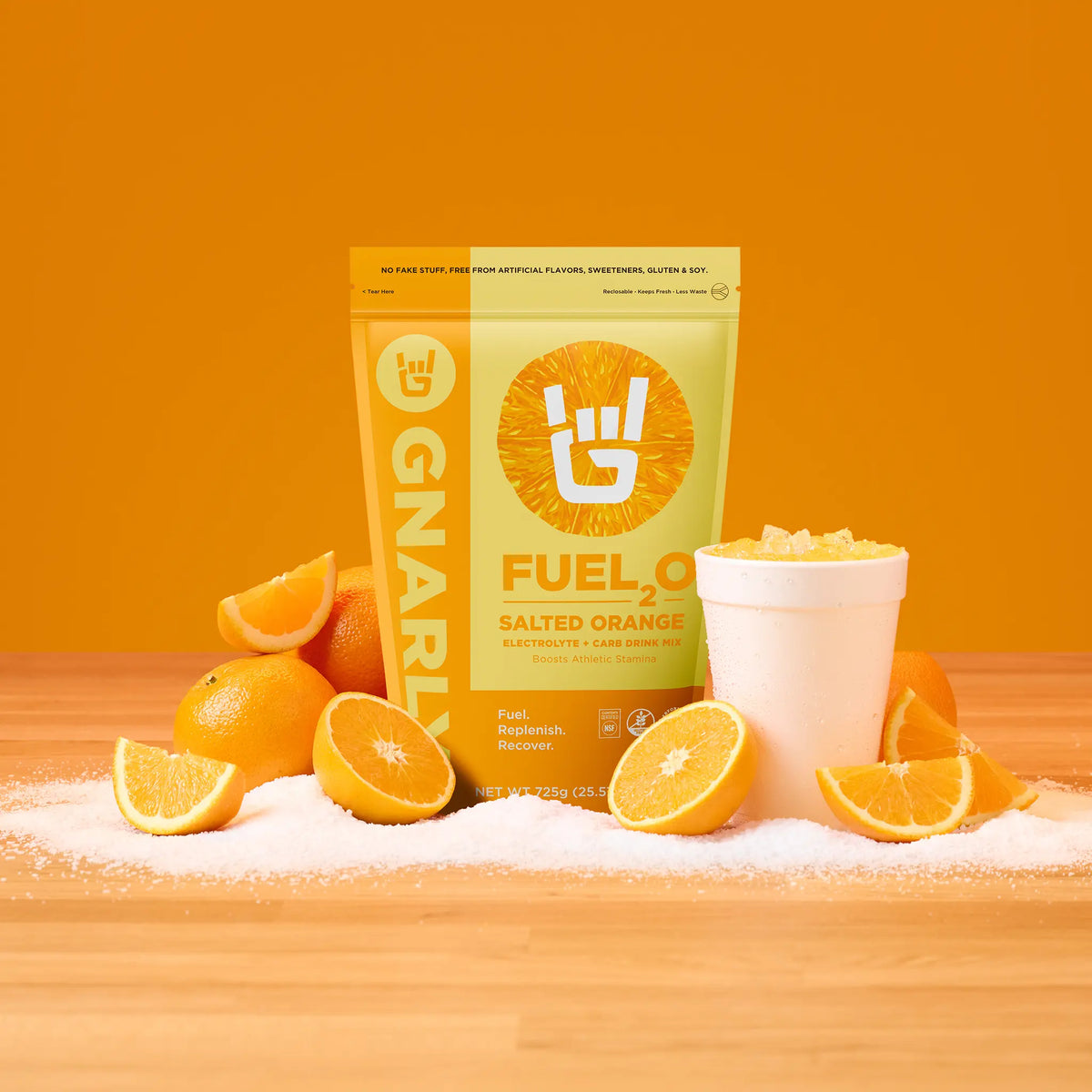 Gnarly Fuel₂O