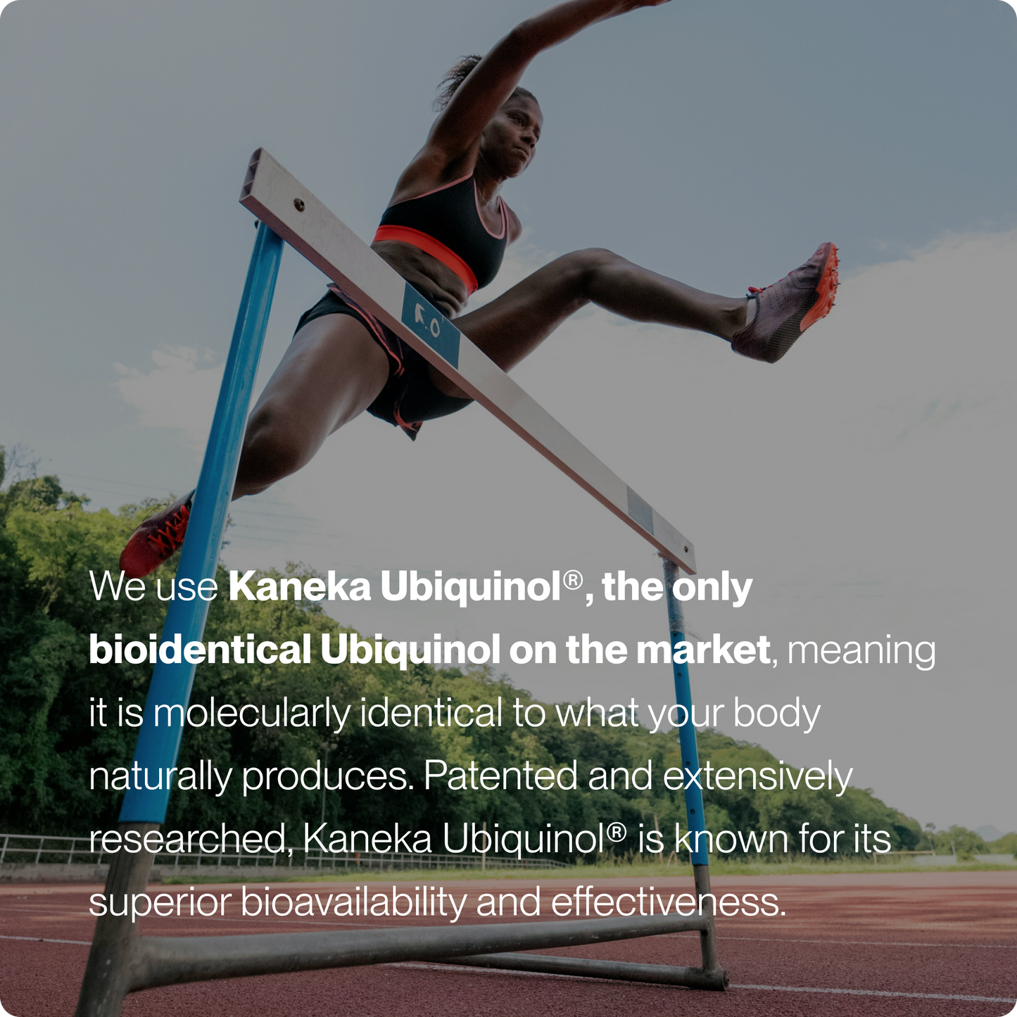 Momentous Ubiquinol