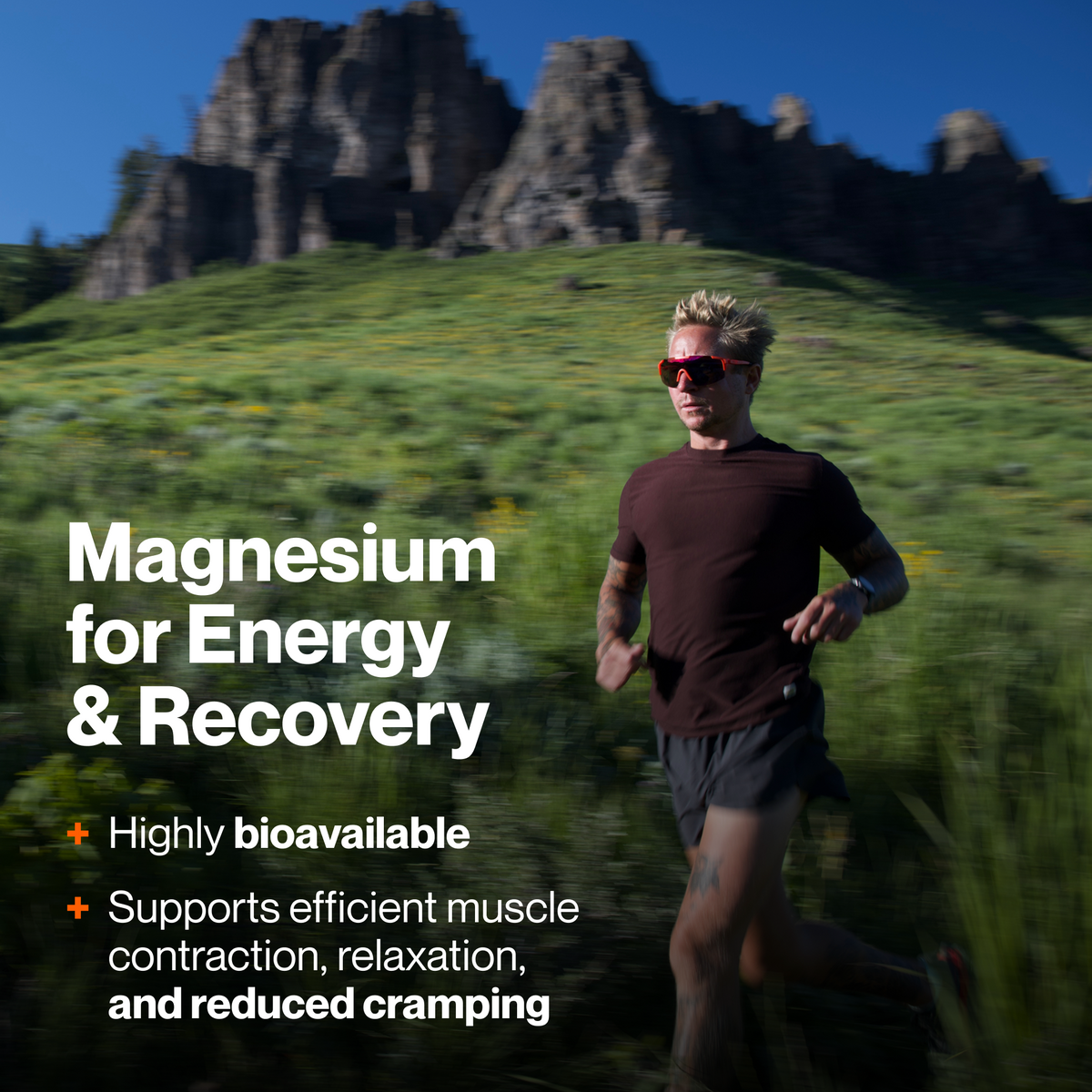 Momentous Magnesium Malate