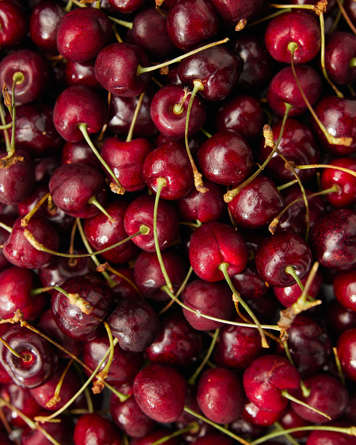 Promix Collagen Beauty Elixir