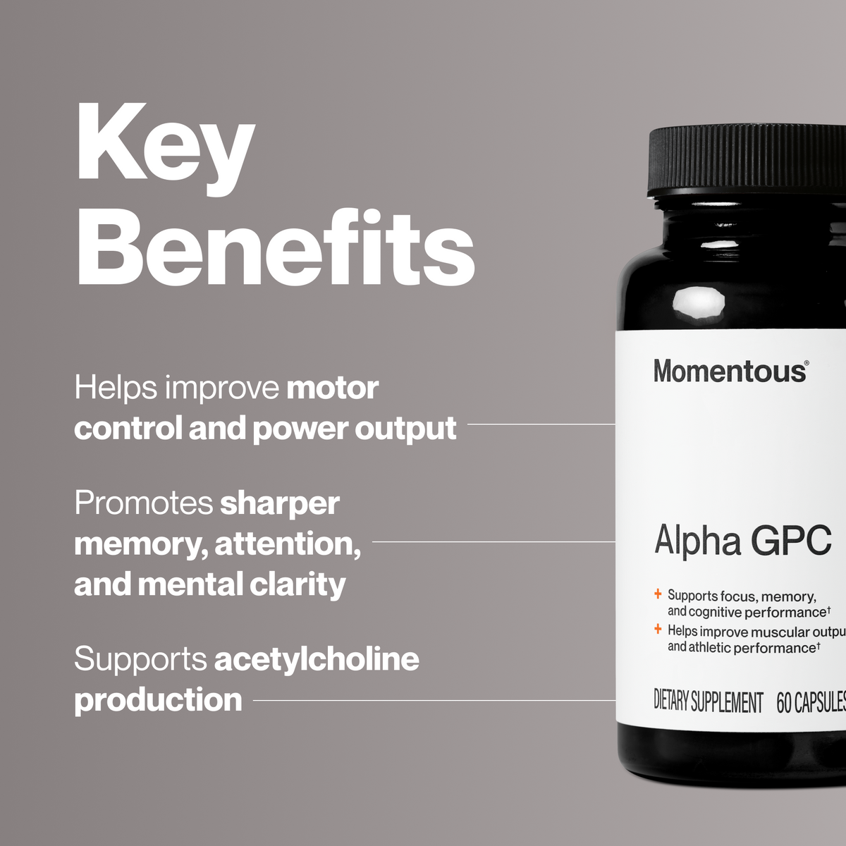 Momentous Alpha GPC