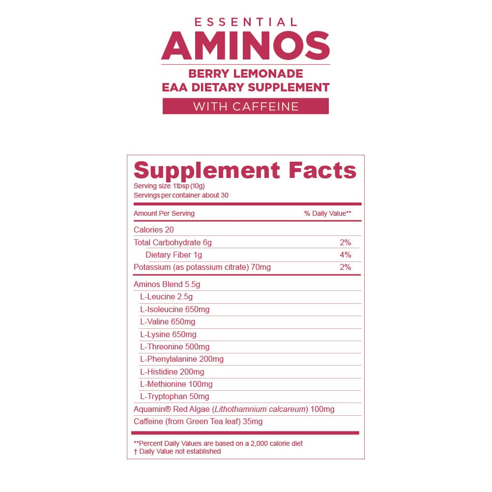 Gnarly Essential Aminos