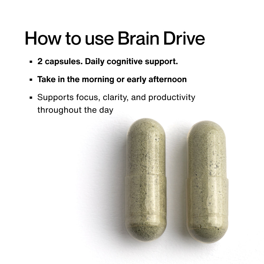 Momentous Brain Drive