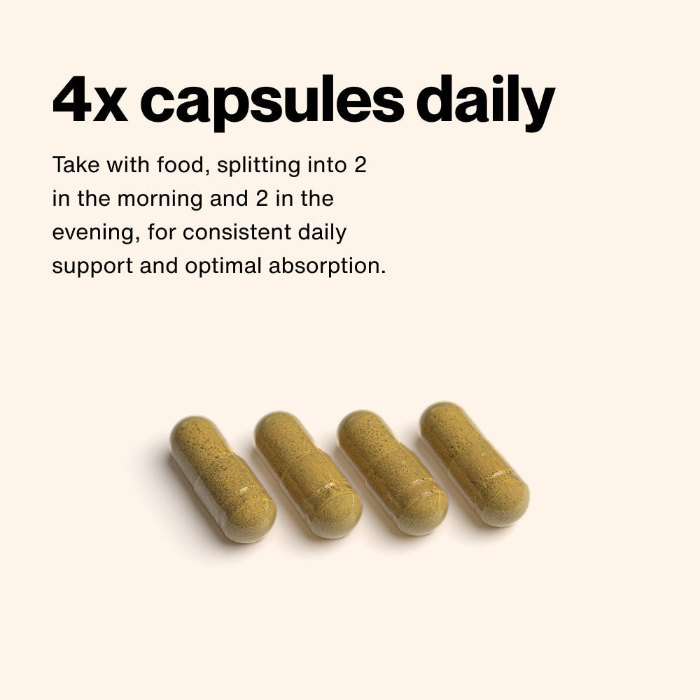 Momentous Multivitamin