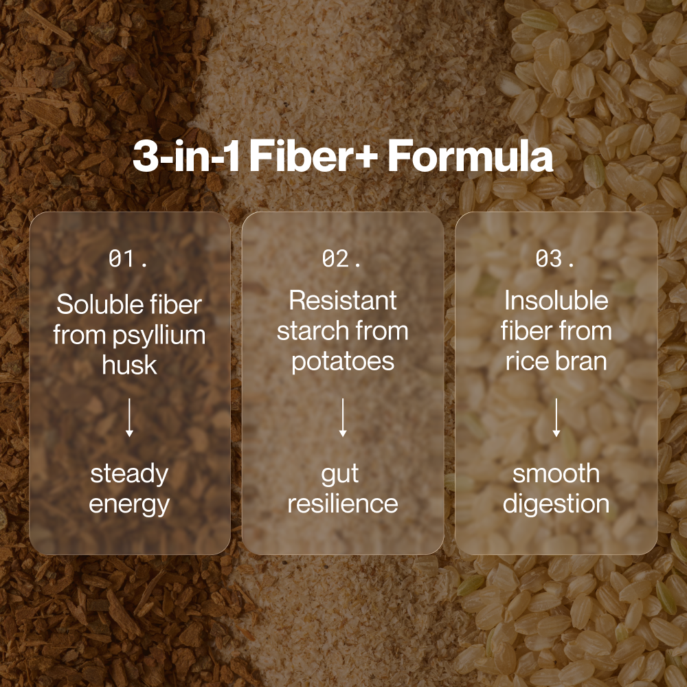 Momentous Fiber+