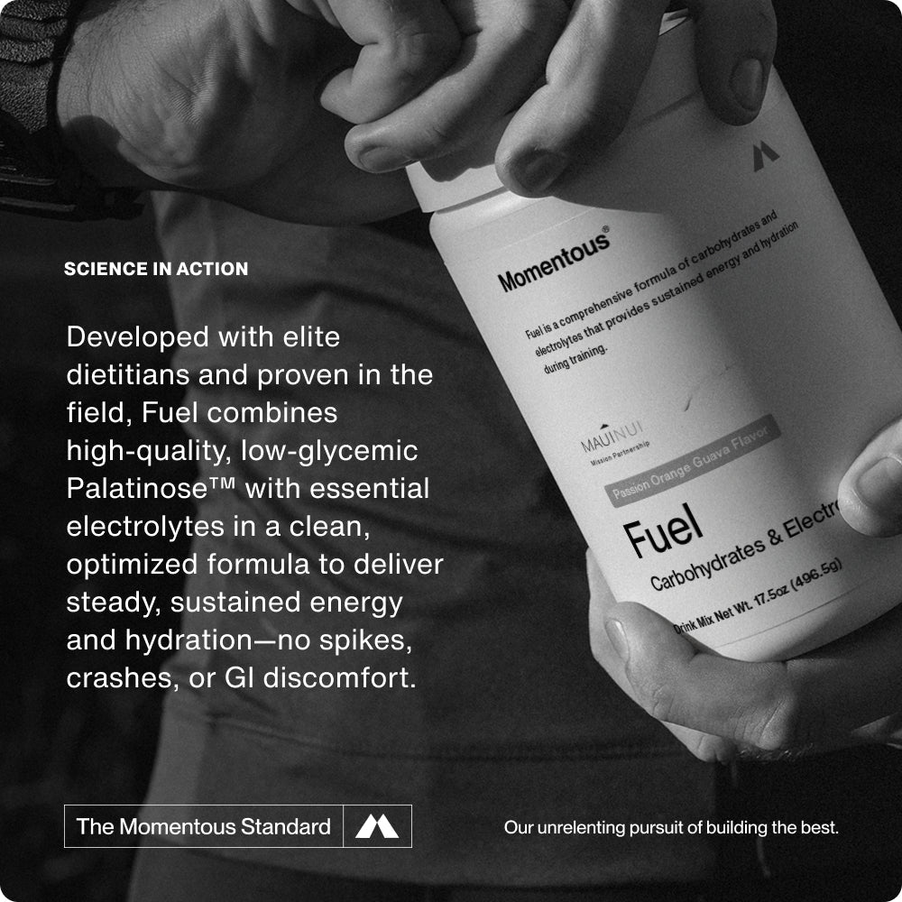 Fuel