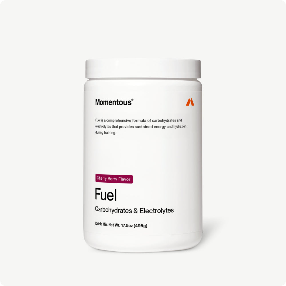 Fuel