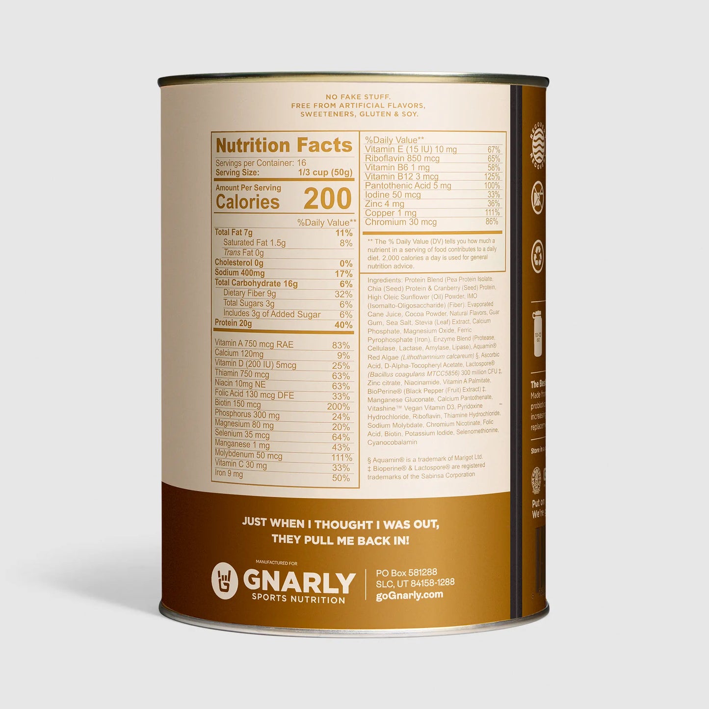 Gnarly Vegan Protein