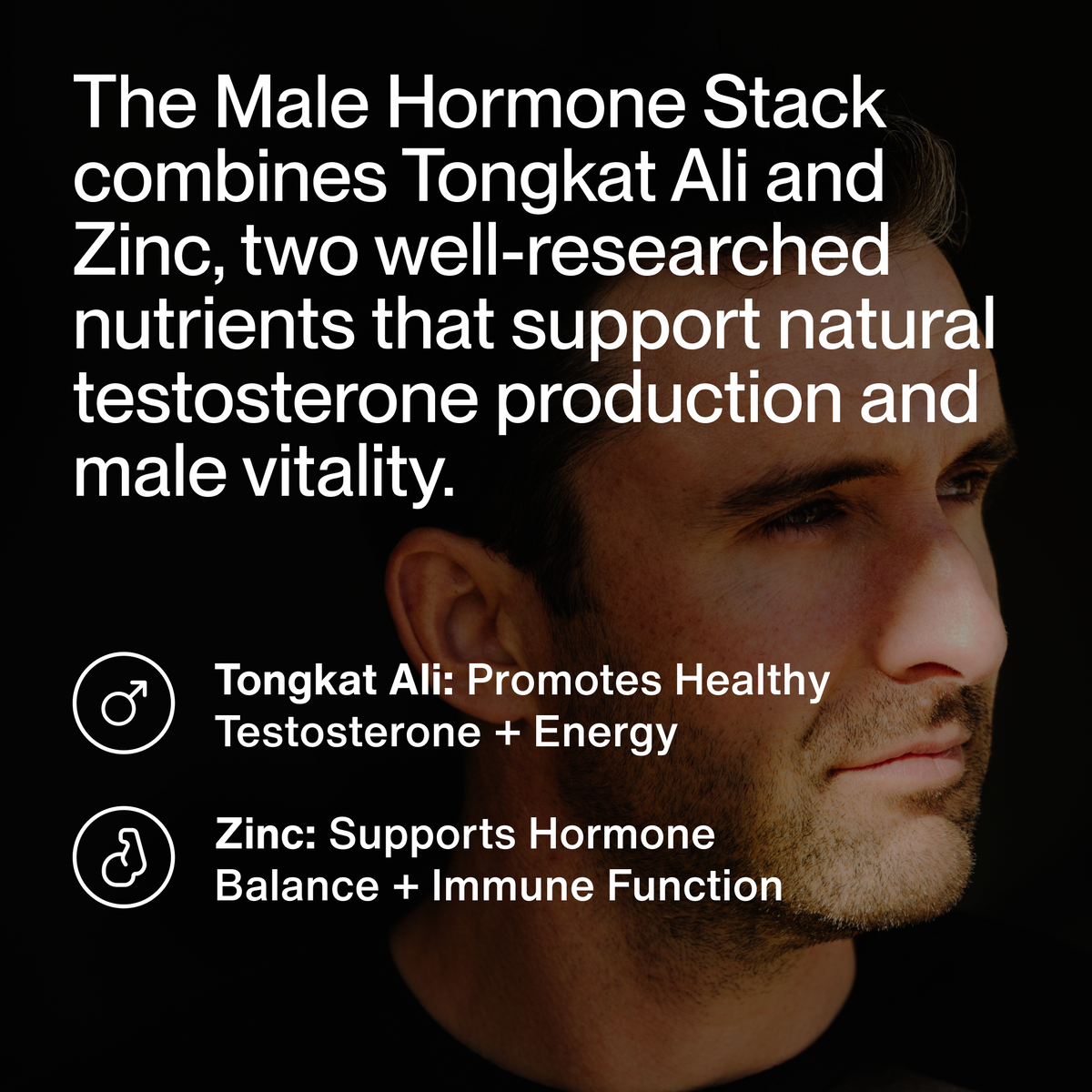 Momentous Male Hormone Support Stack