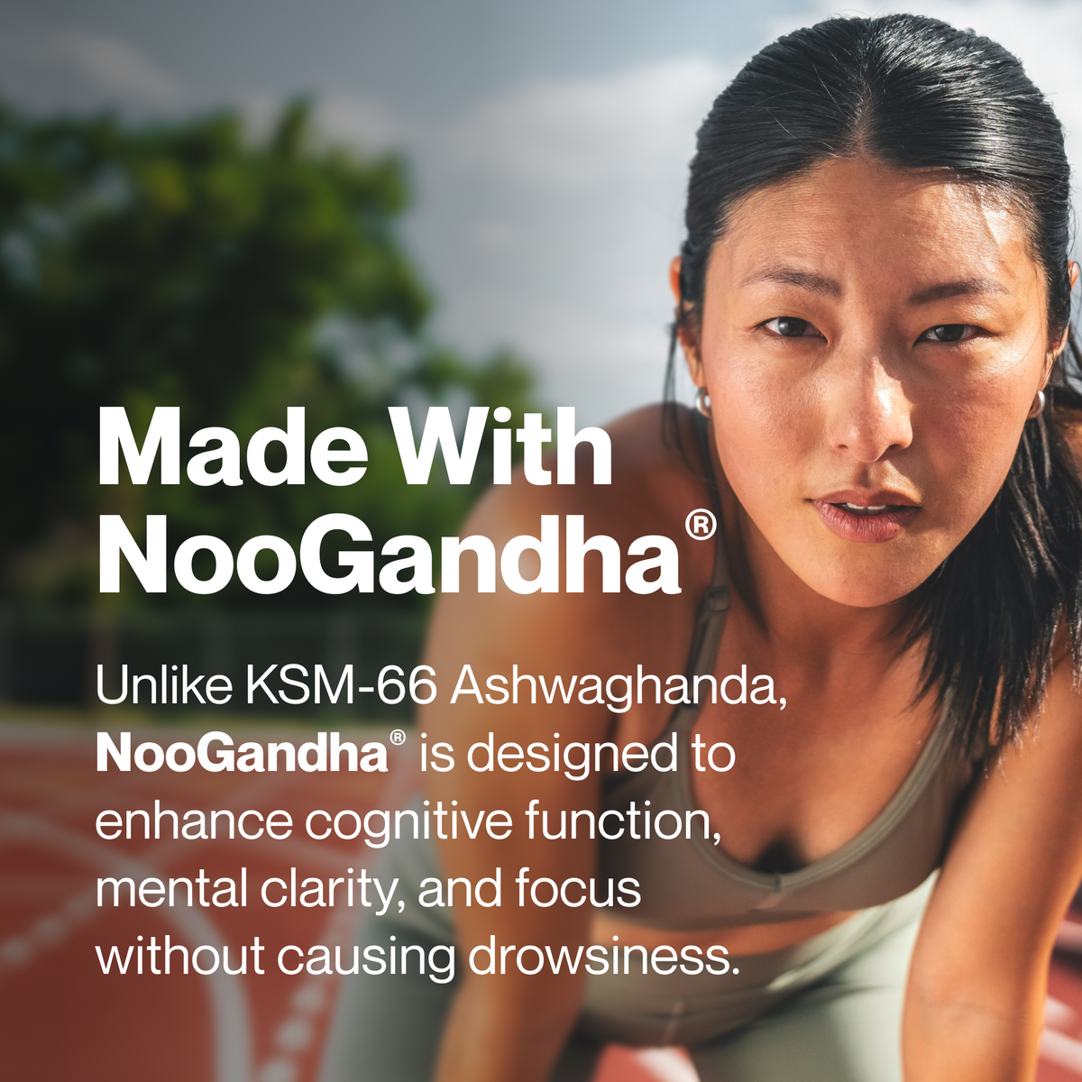 Momentous Ashwagandha