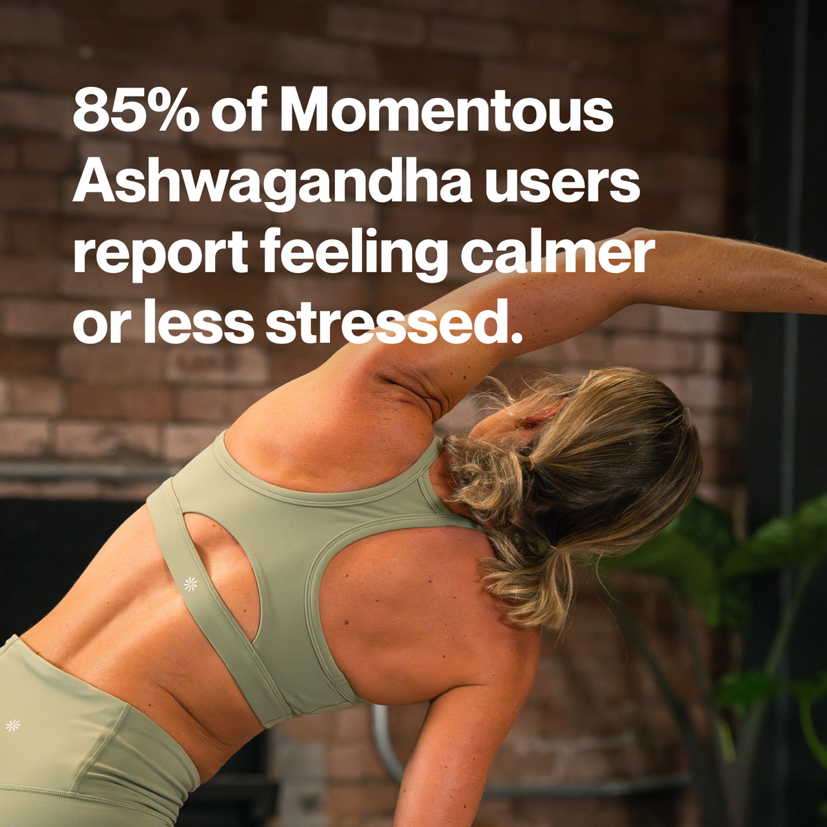 Momentous Ashwagandha