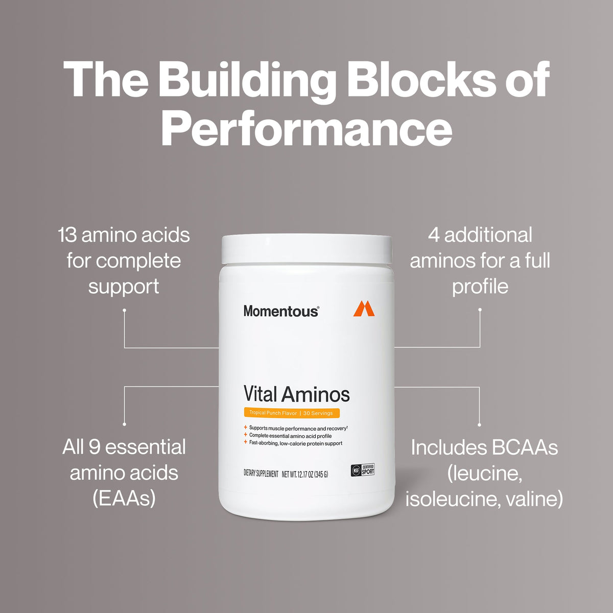 Momentous Vital Aminos