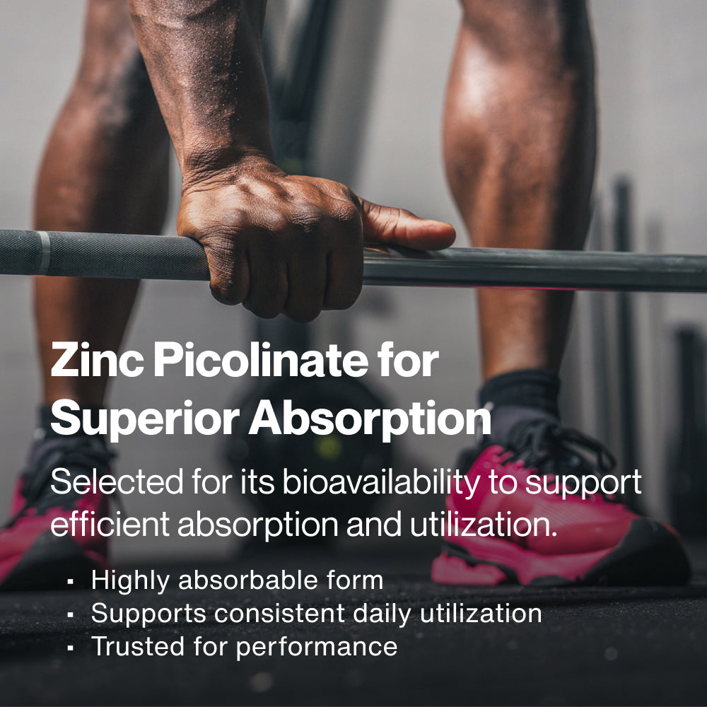 Momentous Zinc