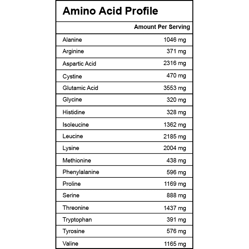 Whey Protein - Unflavored